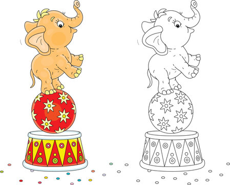 Cute baby elephant balancing on a big beautiful ball and a striped podium in an funny acrobatic circus performance, color and black and white vector cartoon illustrations
