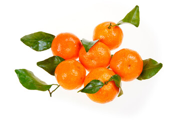 Oranges set against a white background.