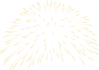 Firework