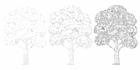 Obraz premium Three stylized trees with varying densities of foliage in grayscale