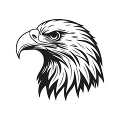 Obraz premium Eagle Head Logo Vector