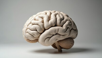 Stone human brain sculpture detailed view. Textured realistic brain model with visible cerebellum and cerebral cortex. Medical science organ concept art.