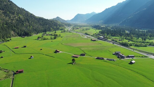 Meadow blooming with yellow flowers and blue sky - Powered by Adobe