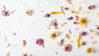 Festive flowers composition. Frame made of dried rose flowers