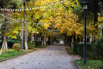 Autumnal park landscape with yellow leaves