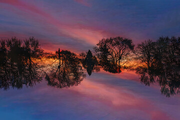 Double exposure of the trees