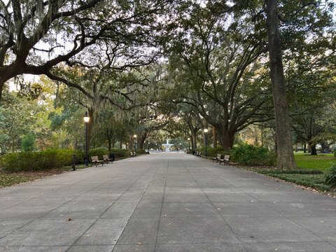 Pathway through Savannah's Forsyth Park toward historic white fountain