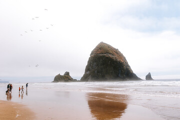 Family Walking Along the Shore Near Haystack Rock at Cannon Beach, OR