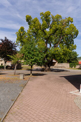 Schlo&szlig; der Stadt Kaltennordheim, Biosph&auml;renreservat Rh&ouml;n, Landkreis Schmalkalden-Meiningen in Th&uuml;ringen, Deutschland
