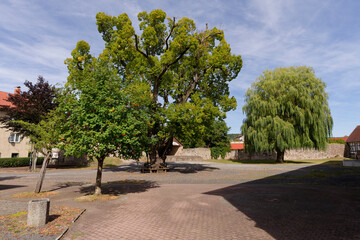 Schlo&szlig; der Stadt Kaltennordheim, Biosph&auml;renreservat Rh&ouml;n, Landkreis Schmalkalden-Meiningen in Th&uuml;ringen, Deutschland