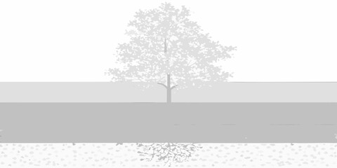 Obraz premium A solitary tree stands centered its roots visible above a textured ground
