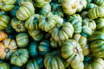 The Ranti tomatoes are still green