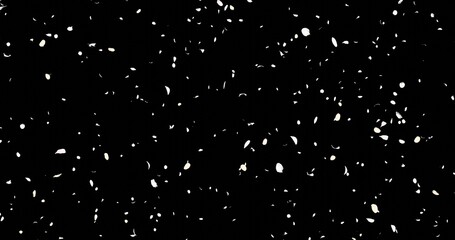 White flower petals sway in the wind. Isolated on black background. 3D rendering.