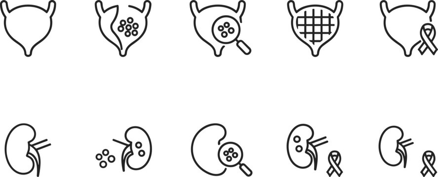 Outline Vector Icon Set Representing Urology Health Kidney Function Bladder Diagnostics Nephrology Medical Research and Urinary System Disease Awareness