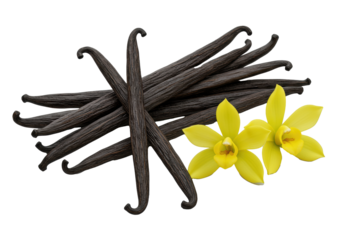 Multiple dark brown vanilla pods and yellow vanilla orchid flowers, aesthetically arranged on a plain transparent background with soft studio lighting, high-angle shot, ultra-realistic commercial