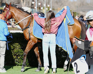 Moza chica poniendo manta de invierno a caballo de carreras sudando