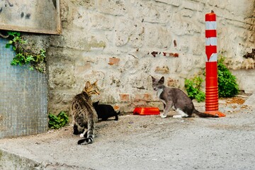 Türkiye / Turkey © Aaron