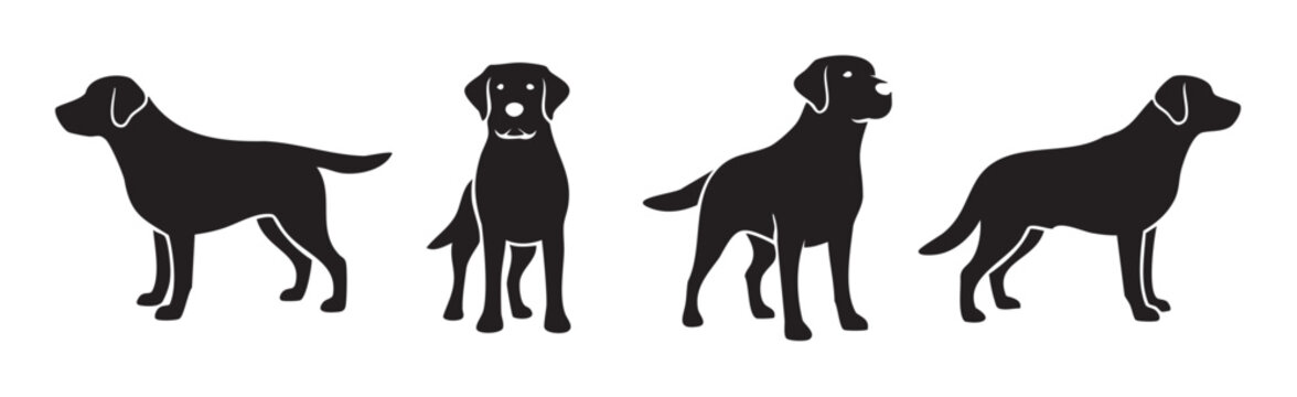 Four black Labrador retriever dog silhouettes are presented in various standing poses, showcasing their iconic profiles and friendly demeanor.