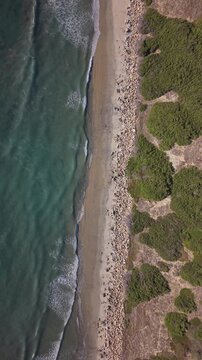 Top down drone view of California Beach, static shot. Background 4k video of ocean, beach and rocks. Vertical video.
