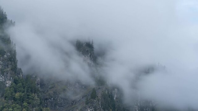 The clouds are drifting in through the mountains, between the trees. Swiss Alps.