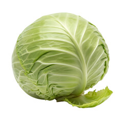 Fototapeta premium Fresh green cabbage head