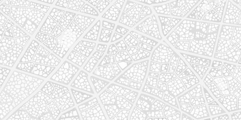 Intricate patterns of a translucent leaf skeleton against a pale background