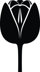 Tulip Flower Silhouette Botanical Vector Illustration