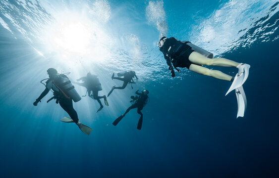 scuba divers exploring the clear water of the southern Andaman Sea