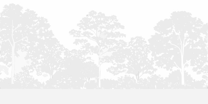 Silhouetted trees against a bright diffused sky create a serene landscape