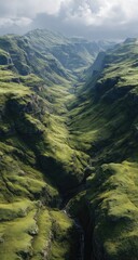 Lush green canyon with stream, bathed in daylight