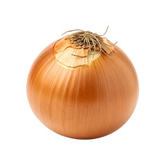 Single yellow onion on white background