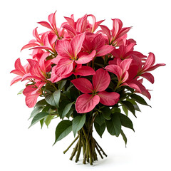 Obraz premium Bouquet of Pink Anthurium Flowers with Green Leaves