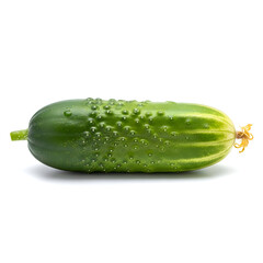 Fresh green cucumber with water droplets