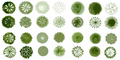 An overhead view of diverse green tree canopies in varying shapes and shades © Sudhakar