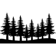 Pine trees silhouette