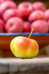 Ein Sternapfel vor einer Schale mit roten &Auml;pfeln