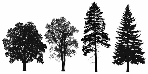 A collection of four different tree silhouettes against a white background