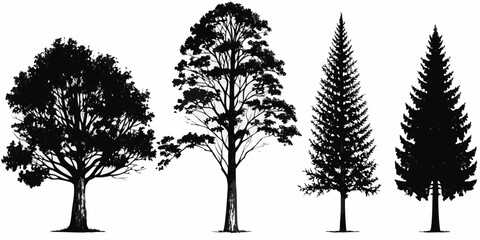 Silhouettes of various tree types deciduous and coniferous forms showcased © Ranajit