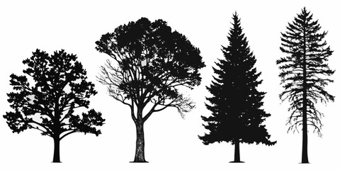 Fototapeta premium Silhouettes of diverse trees against a stark white background