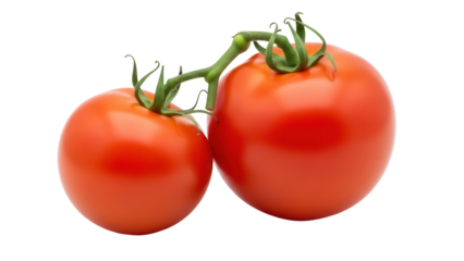 Two fresh red tomatoes on the vine PNG isolated on transparent background, healthy eating and vegetarian diet concept