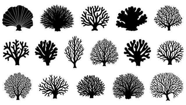 Set of black coral silhouettes featuring multiple branching shapes for marine design, logos, icons, and graphic projects