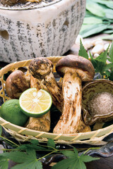 松茸｜Matsutake Mushroom