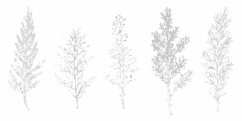 Obraz premium Delicate botanical illustration featuring five sprigs of leafy greenery