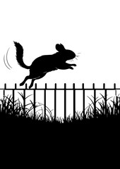 Silhouette of Chinchilla Jumping Over Fence