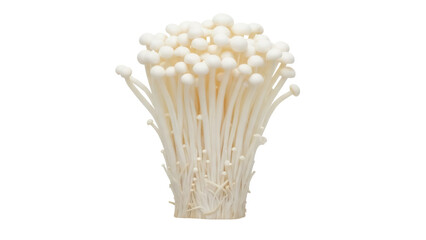 Enoki mushrooms PNG isolated on transparent background, fresh edible fungus with long thin stems and small caps for Asian cuisine © Mia