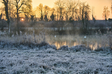 Kalter Wintermorgen in Rhinau im Elsass