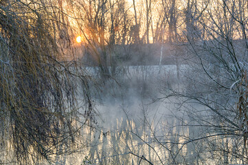 Kalter Wintermorgen in Rhinau im Elsass