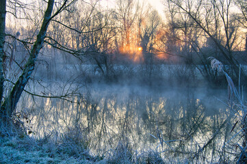 Kalter Wintermorgen in Rhinau im Elsass