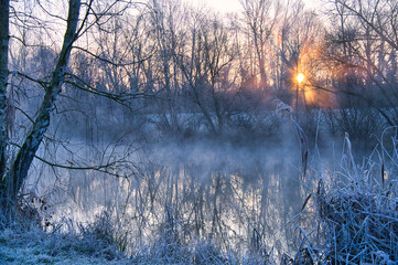 Kalter Wintermorgen in Rhinau im Elsass