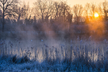 Kalter Wintermorgen in Rhinau im Elsass